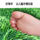 Duoxiu, artificial lawn carpet, plastic fake turf, artificial turf balcony, outdoor artificial turf, kindergarten fake turf, 2cm standard spring grass, 1 meter wide, take a few pieces to get a few meters, high grade