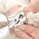 Paike is a cat nail clipper for cats, kitten nail clipper, novice nail clipper, elbow pet supplies, romantic cherry blossom-elbow style