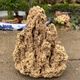 High-quality water stone bonsai rockery absorbent stone decoration natural water rust stone 10-14cm comes with grass seeds 10-14cm comes with grass seeds and stones