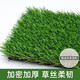 Simulated lawn pet toilet mat, fake turf balcony, artificial turf, dog and cat urination, artificial carpet mat, 2.5cm spring grass upgraded and encrypted high-quality model 1 square meter, high-efficiency peeing grass