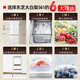 TOSHIBA Dabai Pear 535L cross-door refrigerator built-in household automatic ice making, frost-free, first-class energy efficiency, large capacity GR-RF561WI-PG1B3