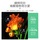 YWZR Potassium Dihydrogen Phosphate Flower Fertilizer Household Potassium Flower Planting Compound Fertilizer Green Plants Flower Potted Plants Universal Type Potassium Dihydrogen Phosphate 500g250g2