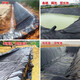 Fish pond anti-seepage membrane geomembrane black plastic leak-proof fish pond special membrane lotus root membrane thickened pool membrane waterproof cloth 0.5mm thick new material 5 meters wide and 12 meters long