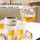 Colorful Dingdang (QICAIDINGDANG) health kettle all glass health kettle teapot health kettle glass thermostatic kettle all glass health kettle tea boiler thermostatic kettle all glass 0 glue Nebula Purple - stew pot version 1.2L with filter stew pot