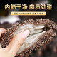 Factory direct sales of authentic wild sea cucumbers and sea cucumbers without ice, fresh deep sea sea cucumbers, high quality sea cucumbers wholesale, 20 extra large king sea cucumbers, net weight 1kg, no ice, vacuum individually packaged