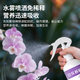 Jinyate nutrient solution orchid multi-arrow special fertilizer to promote flowering fertilizer bud bursting, flowering and rooting without dilution 500ml