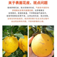 Gannan navel oranges, authentic Jiangxi Ganzhou oranges, whole box of fresh fruits, sweet oranges for pregnant women, group purchase gift box, New Year's Day, net weight 9-10Jin, Jin is equal to 0.5kg, single fruit 200g-300g+
