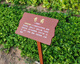 Customized outdoor antiseptic wood, Chinese herbal medicine, flowers and plants, introduction, science brand label, ground brand, tree name brand, size 30*50cm, pole height 1 meter/thickened
