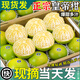 甜萌果蔬正宗广西皇帝柑橘子贡柑贡橘新鲜水果当季现摘水果礼盒中秋送礼 5斤精选装【单果约60mm+】净重4.5斤