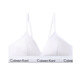 CK Underwear Women's Small Breast Push Up Comfortable Wireless Bra Set Pure 1 Cotton Girls Sexy Seamless CALVINKLEINI-365 Gray V-shaped Bra + Panties Set XL (110-125Jin Jin is equal to 0.5 kg) 85/38ABC