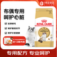 ROYAL CANIN Ragdoll Adult Cat Food RA32 General Food 12 months and above 2kg