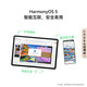 Huawei MatePad 11.5S 2025 latest tablet computer Hongmeng system 5 for college students to learn office painting Smart version Silver丨12G+256G WIFI official standard configuration Free purchase gift package