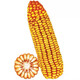 Linpan high-yielding corn seed twins red shaft iron big stick hard hybrid corn drought-resistant, disease-resistant, salt-alkali tolerant corn Zhengdan 958 corn original 1Jin Jin equal to 0.5 kg *1 bag