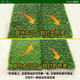 Simulated lawn, fake turf, artificial turf carpet, outdoor lawn mat, football field balcony landscaping, balcony landscaping 5D black back 2.5 double layer extra dense thickened spring grass 1.5 meters wide*7 meters long