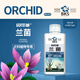 Bekshi orchid special nutrient solution for universal hydroponic nutrition to promote rapid flowering orchid exclusive square bottle orchid 500g/bottle