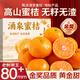 Uncle Sam's Authentic Linhai Yongquan Tangerine, Next Day Delivery to Many Places, Seedless Tangerine Orange Fruit Gift Box, Best Selling* Premium Fruit, Fruit Circumference 50-60mm, Super Sweet, Alpine Old Tree Fruit, 5 Jin Jin is equal to 0.5 kg, Gift Box, Carefully Selected by Farmers, Net 4.5