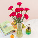 Carnation flowers holiday gift water-grown flowers for mom Yunnan flower base straight hair 10 random color carnations