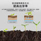 Plant bursting hormone, budding hormone, succulent leaf inserts, germination promotion, household flower growing fertilizer, old pile plant clear leaf fertilizer, old pile dry yellow leaves first aid, new buds grow, 3 barrels 7500ml
