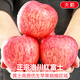 Jingdi Dalochuan apple net weight 8.5Jin Jin is equal to 0.5kg single fruit 250g + Shaanxi Red Fuji apple fruit straight from the source