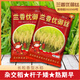 稻玉丰农业长粒米原厂包装兰香优御丝农用杂交水稻种子香型长粒香米 兰香优御丝水稻种子5袋（送水稻大礼包） 500g/袋