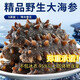 Factory direct sales of authentic wild sea cucumbers and sea cucumbers without ice, fresh deep sea sea cucumbers, high quality sea cucumbers wholesale, 20 extra large king sea cucumbers, net weight 1kg, no ice, vacuum individually packaged
