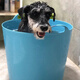 Dog bath barrel, dog bath tub, medicated bath bath tub, pet bath barrel, dog bath tub supplies, Teddy French Bulldog, small dog, ordinary small yellow, no drain outlet 7Jin Jin is equal to 0.5kg within