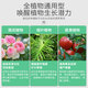 YWZR Potassium Dihydrogen Phosphate Flower Fertilizer Household Potassium Flower Planting Compound Fertilizer Green Plants Flower Potted Plants Universal Type Potassium Dihydrogen Phosphate 500g250g2