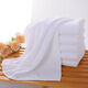 Quick-drying small square towel for pet bathing, quick-drying and absorbent square towel, cat and dog wash and care towel, small cleaning towel, overlock white towel 30*30cm (2 pieces)