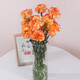 Carnation flowers holiday gift water-grown flowers for mom Yunnan flower base straight hair 10 random color carnations