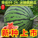 8424 Kirin small-seeded watermelon seeds, seedless, extra-large, high-yielding, giant sweet king, southern four-season vegetable and fruit seeds. 8424 watermelon seeds/pack, about 50 seeds, 5 packs