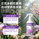 Jinyate nutrient solution orchid multi-arrow special fertilizer to promote flowering fertilizer bud bursting, flowering and rooting without dilution 500ml