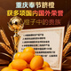 Nongdingdong Brand Orchard Ventes directes Chongqing Fengjie Navel Orange Newhall Coffret cadeau de fruits Magasin phare officiel de haute qualité Gros fruits à manger soi-même Diamètre de fruits 75-85 10 Jin Jin équivaut à 0,5 kg Coffret cadeau exquis