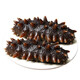 Factory direct sales of authentic wild sea cucumbers and sea cucumbers without ice, fresh deep sea sea cucumbers, high quality sea cucumbers wholesale, 20 extra large king sea cucumbers, net weight 1kg, no ice, vacuum individually packaged