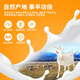 New Pet Imported High Calcium Pet Goat Milk Powder Newborn Puppies and Adult Dogs Calcium Supplement Goat Milk Nutrition General Goat Milk Powder Adult Dogs 300g/can Suitable for More than 12 Months Dogs New Zealand Original Imported Goat Milk Powder