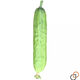 Hybrid sweet crispy king cucumber seeds old variety high yield dry cucumber seeds season spring and summer fruit and vegetable seeds hybrid sweet crispy king original 1 pack (about 50 pieces)