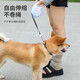 Automatic Dog Leash Retractable Dog Walking Night Reflective Leash Teddy Dog Chain Collar for Medium, Large and Small Dogs Black - (Exquisitely Packaged) 5M Long Rope One-click Brake without Rope Jam