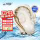 Bassling Fresh Rushan Oysters 4XL Net Weight 10Jin Jin is equal to 0.5kg 20-26 pieces Straight from the source