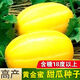 Golden dense melon seeds, melon dense seeds, Golden Road fruits, early maturing, high yield, disease resistance, extra large spring melon fruit seeds, golden dense seeds/pack, about 100 seeds, 1 pack