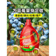 LDVEP blueberry special fertilizer organic nutrient solution for plant potting general aqueous liquid fertilizer for root strengthening and seedling treatment for yellow leaves exquisite combination package blueberry special nutrient solution 50