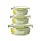 Chu Wanjia Borosilicate Glass Lunch Box Juego de recipiente de frescura con tapa Caja de bento de vidrio resistente al calor para el horno de microondas Set Nordic Green Round 1050+Ronda 650+Ronda 450ml