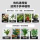 Deli nutritional soil universal flower growing soil succulent orchid soil peat soil planting soil flower growing vegetable potting soil 10L