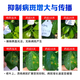 Great Harvest and Fenchuang Carefully Selected 77% Copper Hydroxide Fruit Tree and Vegetable Bacterial Disease Angular Canker Genuine Pesticide and Fungicide 1000g