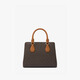 MICHAEL KORS New Year's gift Michael Kors MK Camille small handbag tote bag shoulder crossbody bag dark brown/acorn brown 252
