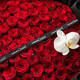 99 red roses bouquet, express delivery of love, proposal, birthday gift to girlfriend, flowers delivered by flower shop in the same city, everything is romantic | 99 red roses with Phalaenopsis bouquet