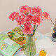 Carnation flowers holiday gift water-grown flowers for mom Yunnan flower base straight hair 10 random color carnations