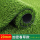 Simulated lawn carpet artificial artificial balcony floor mat kindergarten green outdoor fake grass plastic turf decoration new upgrade - 2 cm spring grass encryption (1 meter wide 1 meter long) 1 square meter