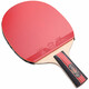 729友谊729乒乓球拍儿童初学者小学生中考训练兵乓球成品单拍乒乓拍 金二星【长柄横拍】2星