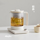 Olayks Lishi Qingchuan health pot small office 2025 new kettle boiling kettle teapot large filter tea boiler stew all in one OLK-YSH03