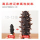 Fishing Travel Notes National Standard 11 times foaming Dalian light dried sea cucumber net weight 50g 8-15 pieces family size straight from the source