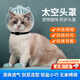 Tanbeiman cat hood cat hood clipper nail anti-scratch artifact anti-biting and anti-licking hood Elizabethan circle bath artifact M size hood suitable for 5-9 Jin Jin equals 0.5 kg kitten